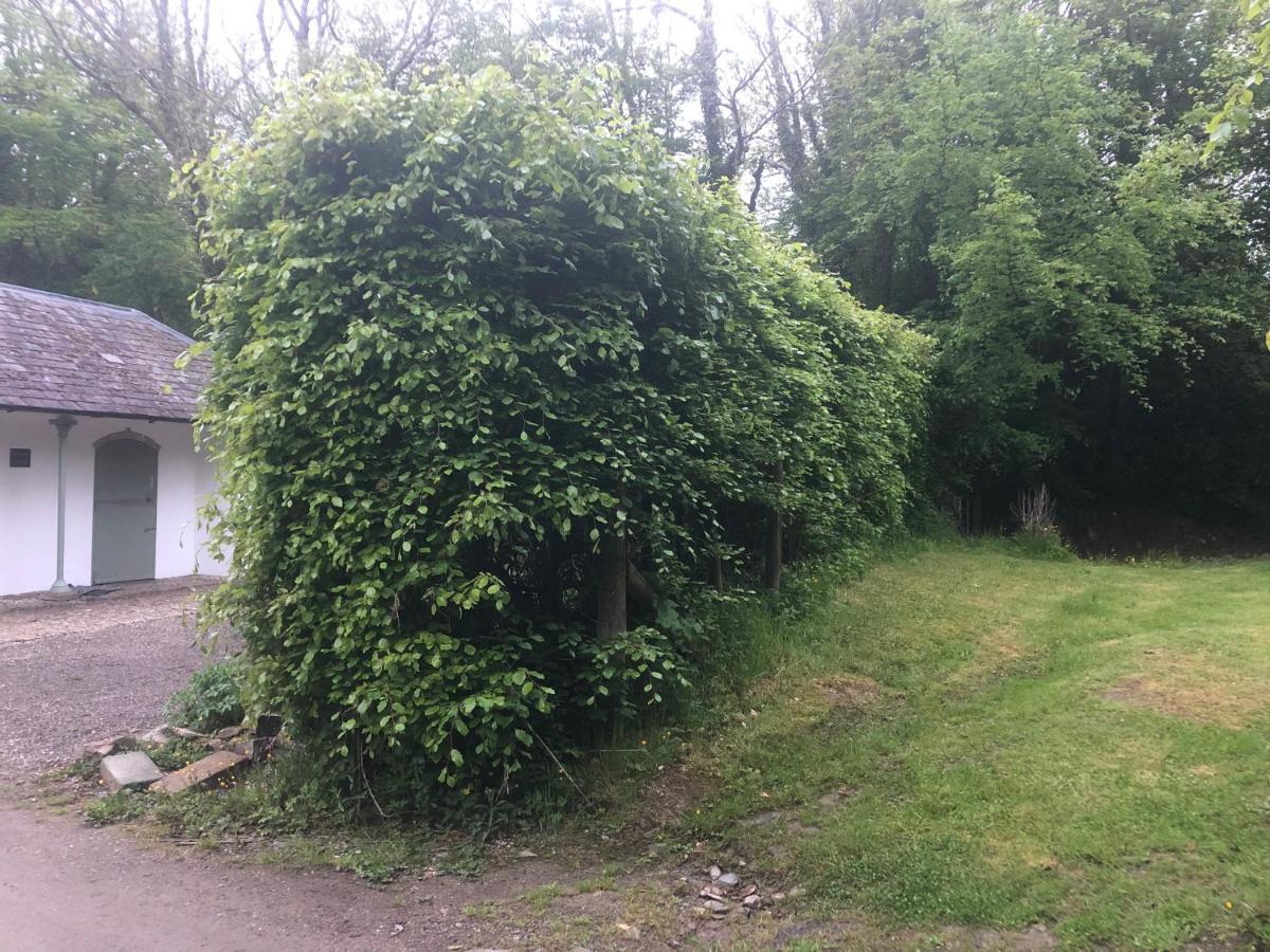 Stables Cottage, Idyllic Location Stunning Views Llandysul エクステリア 写真